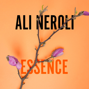 日本免费看片网站
