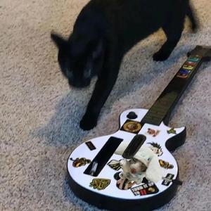 热国产琪琪毒龙
