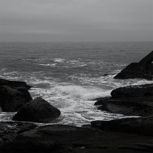 苍井空操逼视频
