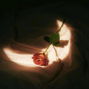 越南第一次摘花
