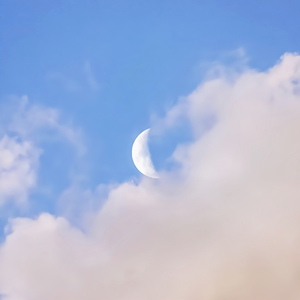 女人做爰高潮全过程免费看
