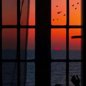 越战女兵施黛小说原著
