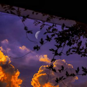 黄网短视频能看到长鸡
