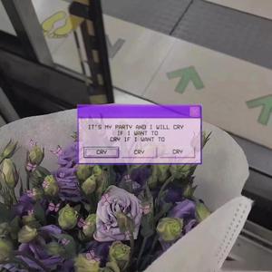 美女光溜溜XX视频
