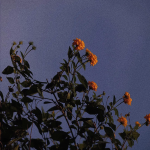 cc欣彤至尊版舞蹈
